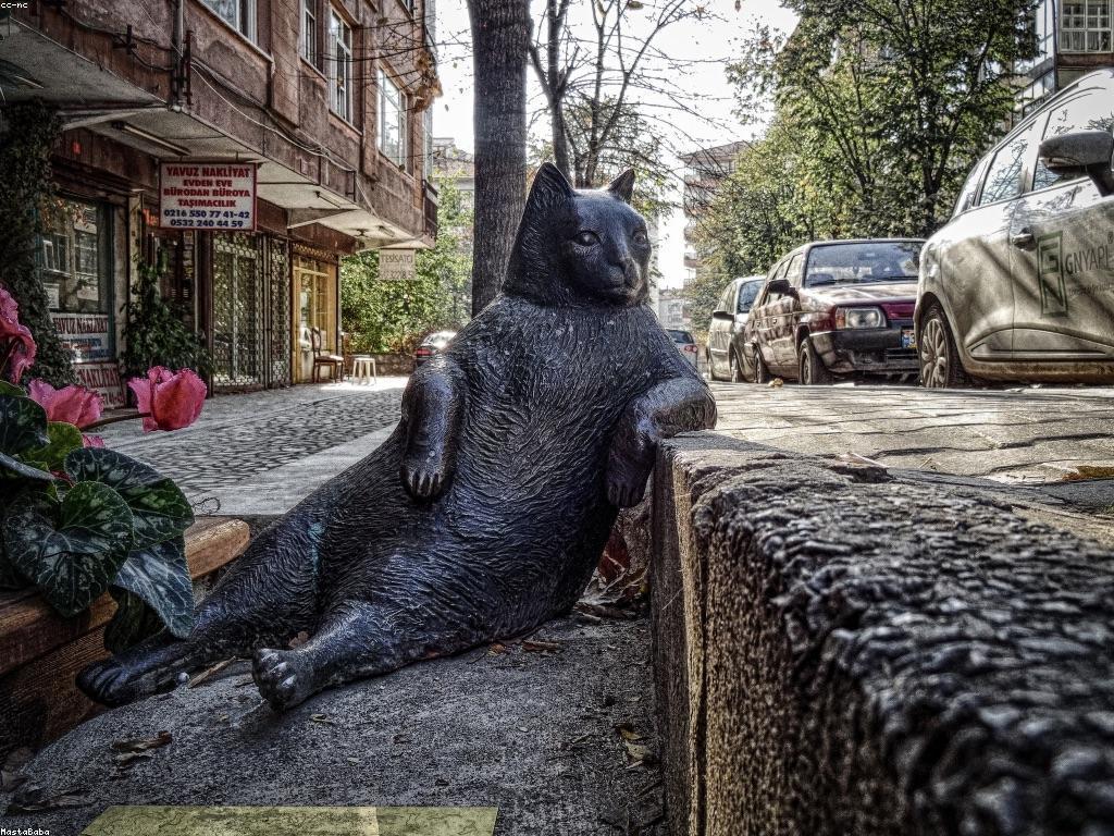 សារៈសំខាន់នៃការពិចារណា និងសុវត្ថិភាព