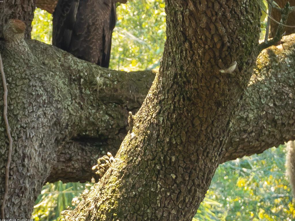 ពត៌មានអំពីស្លុត និងឈុតបរិស្ថាន